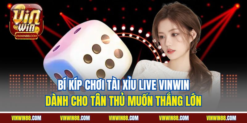 bi-kip-choi-tai-xiu-live-vinwin-danh-cho-tan-thu-muon-thang-lon