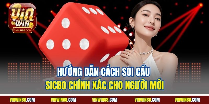 huong-dan-cach-soi-cau-sicbo-chinh-xac-cho-nguoi-moi