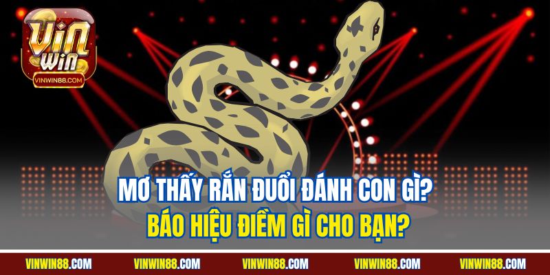 mo thay ran duoi danh con gi bao hieu diem gi cho ban