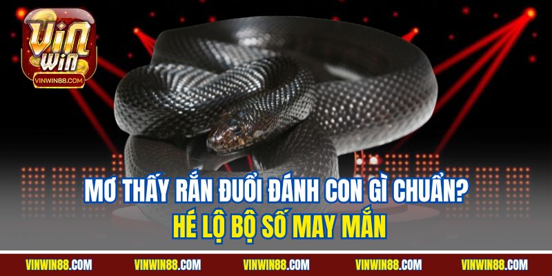 mo thay ran duoi danh con gi chuan he lo bo so may man