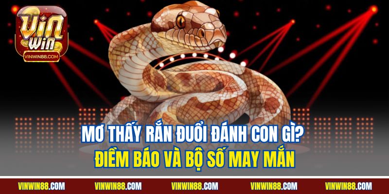 mo thay ran duoi danh con gi diem bao va bo so may man