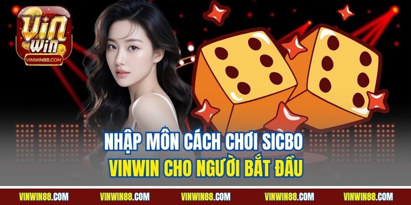 nhap-mon-cach-choi-sicbo-vinwin-cho-nguoi-bat-dau